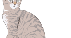 colored cat drawing