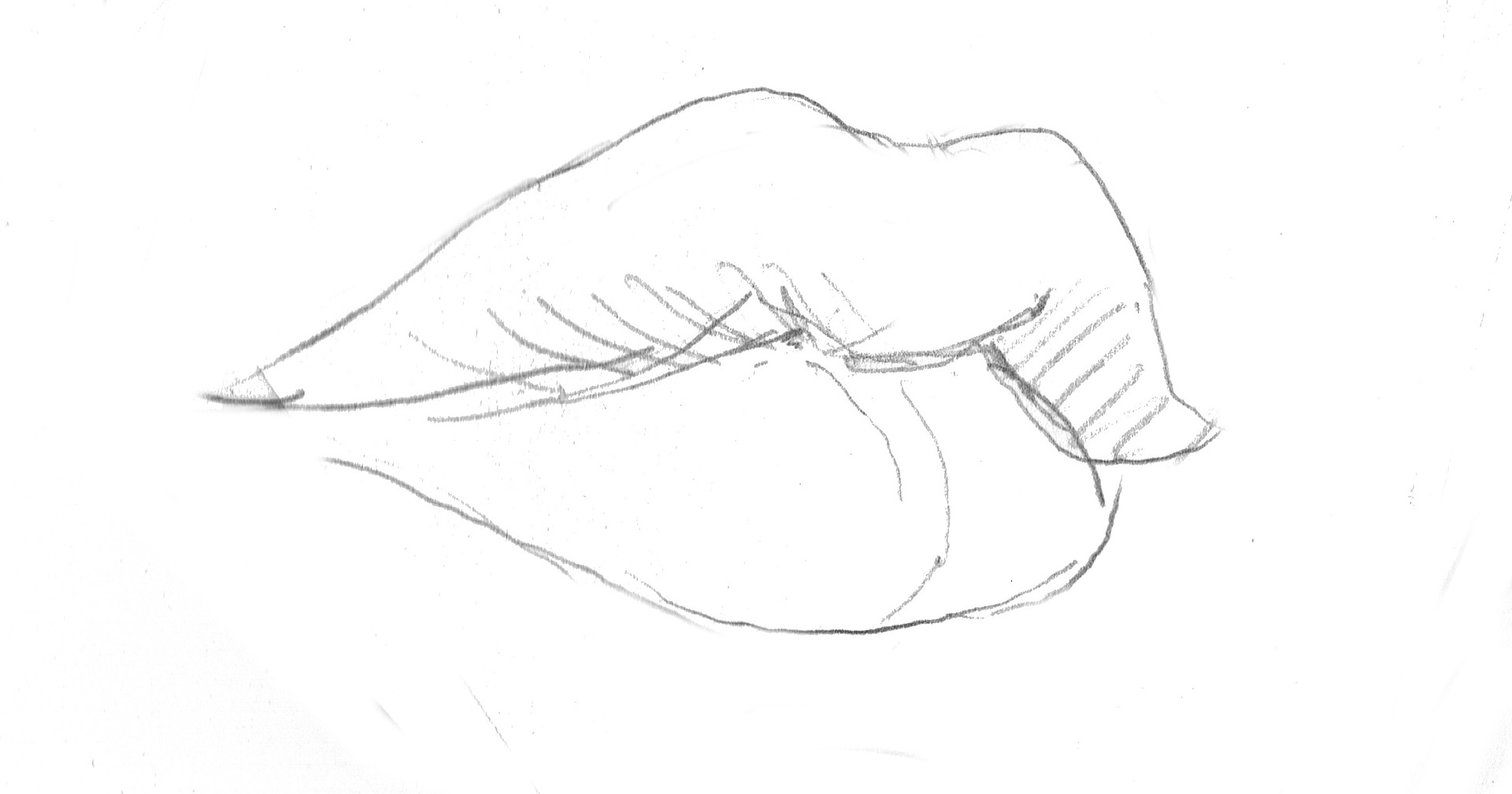 How to Draw a Mouth – Easy Drawing Guides